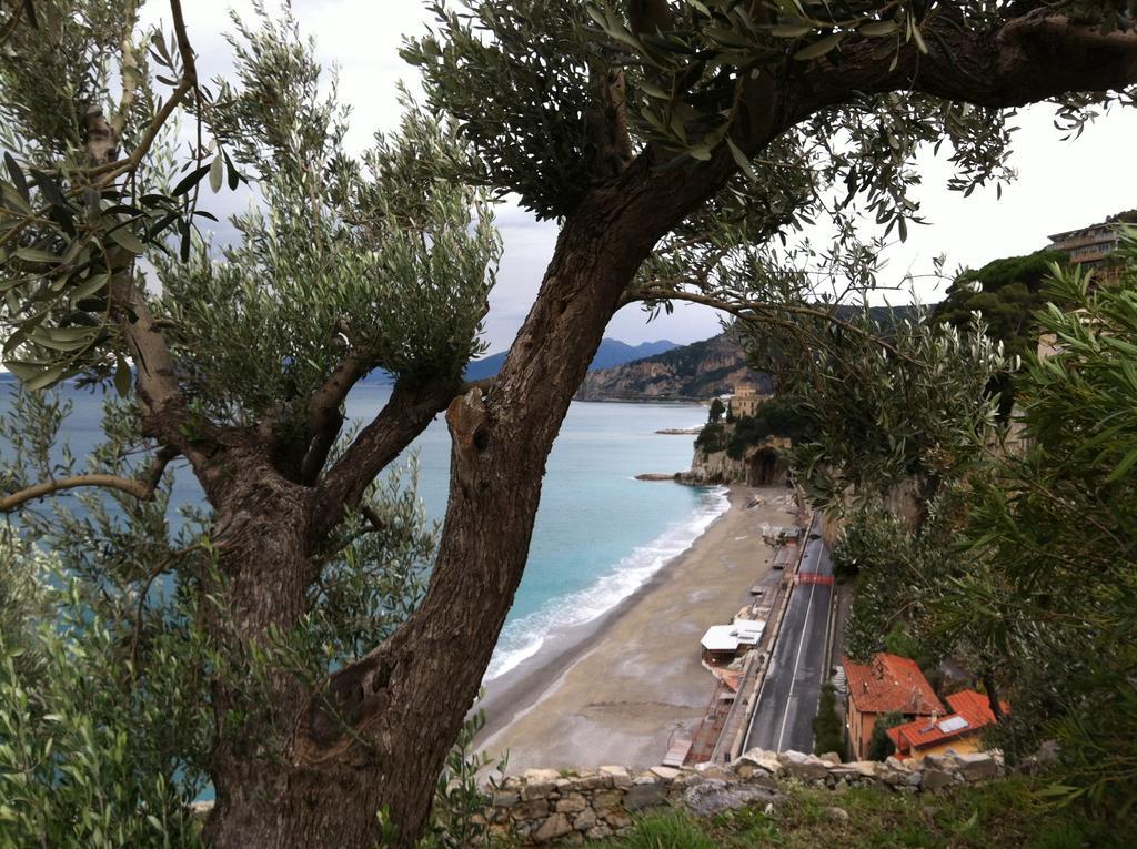 Agriturismo La Rocca Di Perti Finale Ligure Eksteriør billede