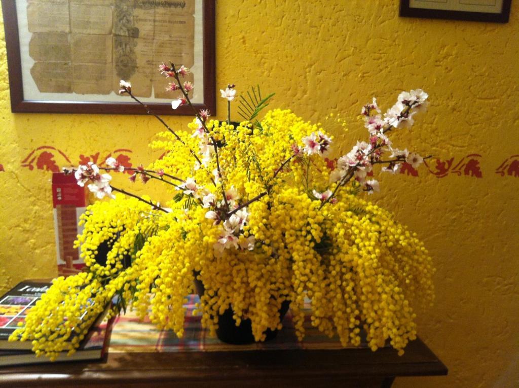 Agriturismo La Rocca Di Perti Finale Ligure Eksteriør billede