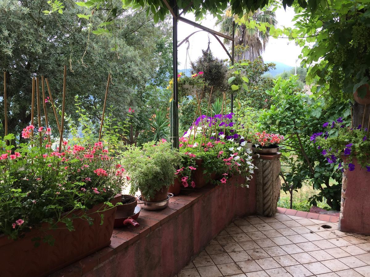 Agriturismo La Rocca Di Perti Finale Ligure Eksteriør billede